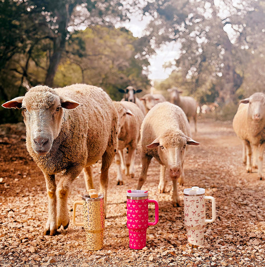 Bougie Tumblers l 40 oz